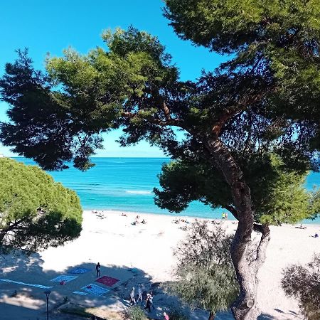 Beach House Монделло Екстер'єр фото